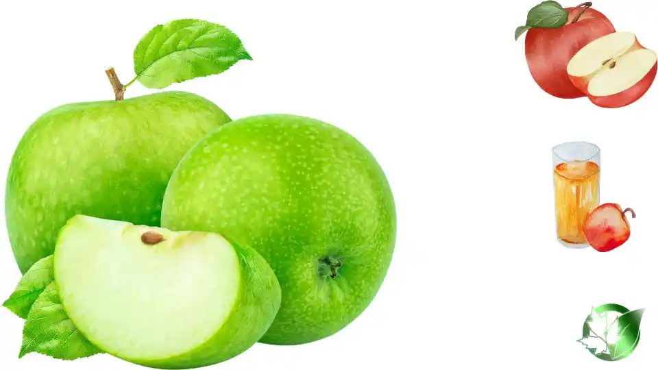 Commercial presentation of Apple Compote for wholesale product evaluation and buyer review.